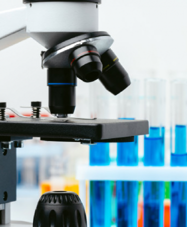 product development (r&d)